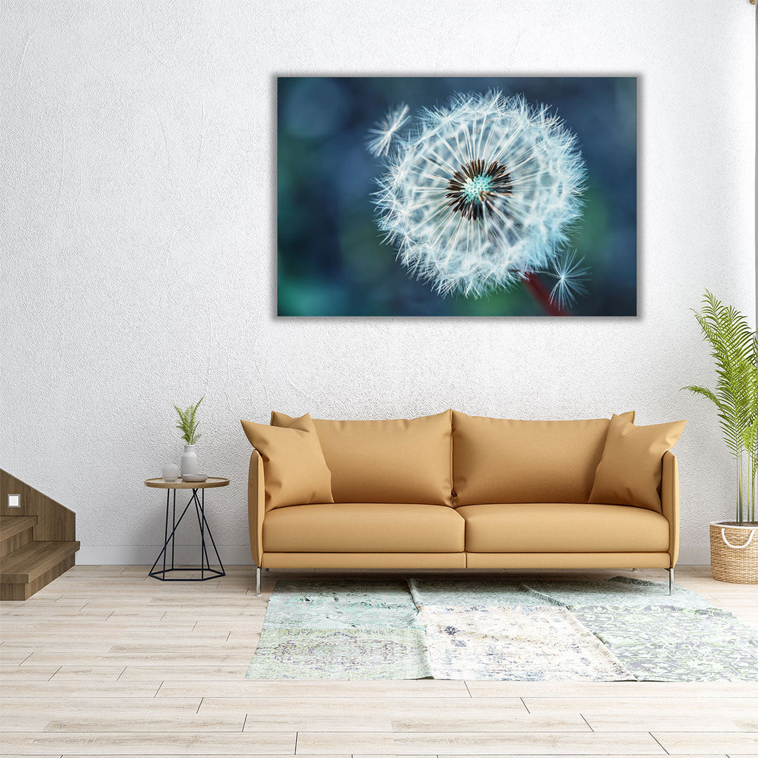 Close-Up Dandelion Tranquil - Canvas Print Wall Art