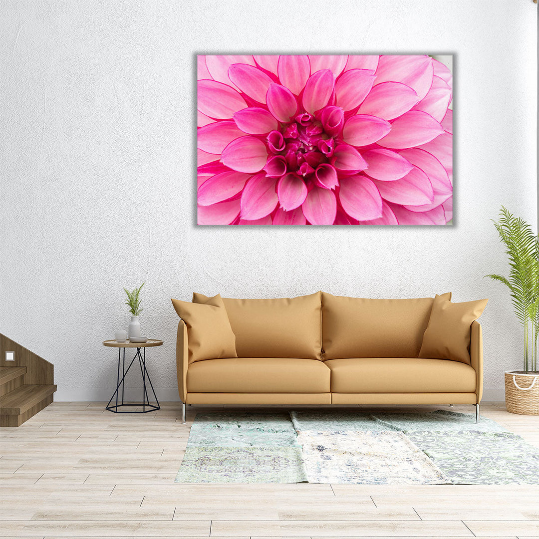 Close-Up of Hot Pink Dahlia Flower - Canvas Print Wall Art