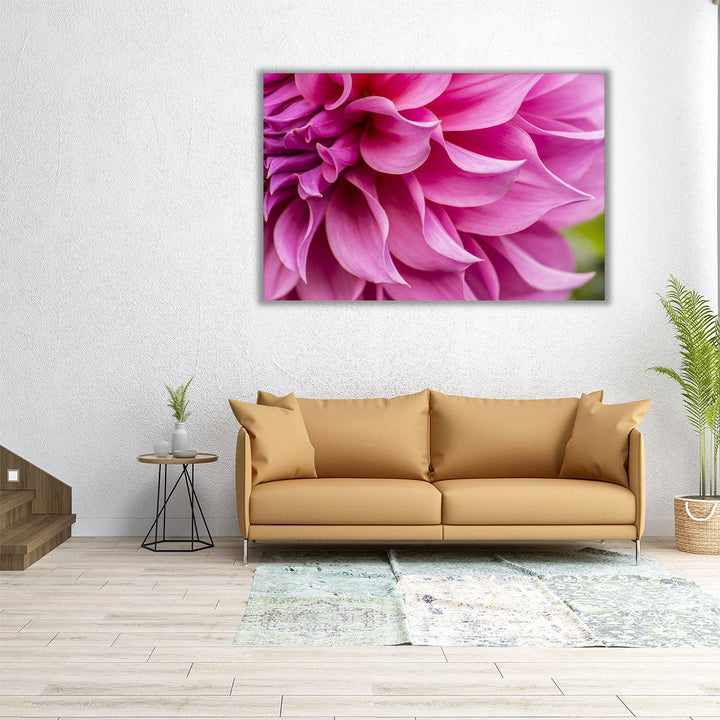 Close-Up of Pink Flower - Canvas Print Wall Art