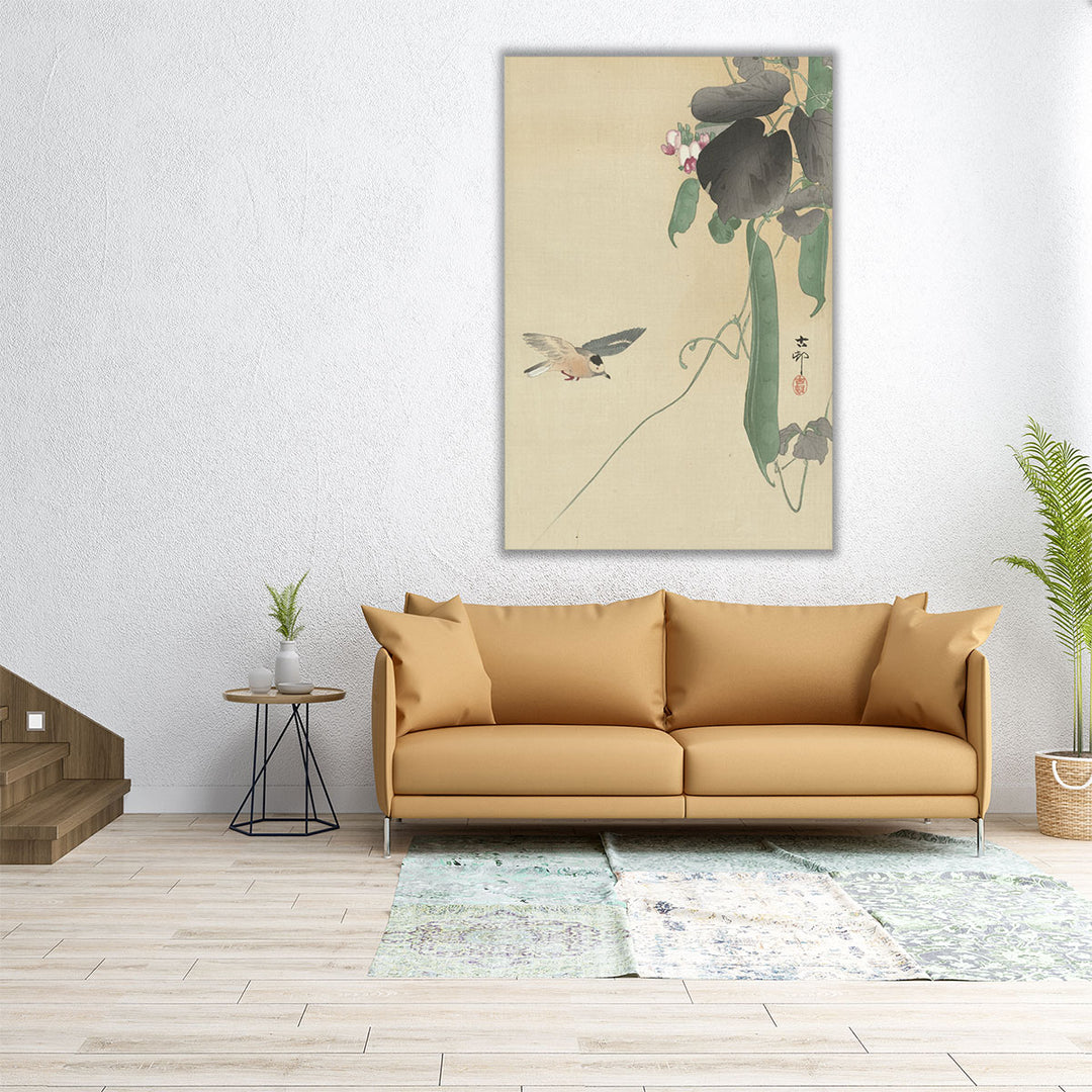 Bird at Flowering Bean Plant, 1900 -1930 - Canvas Print Wall Art