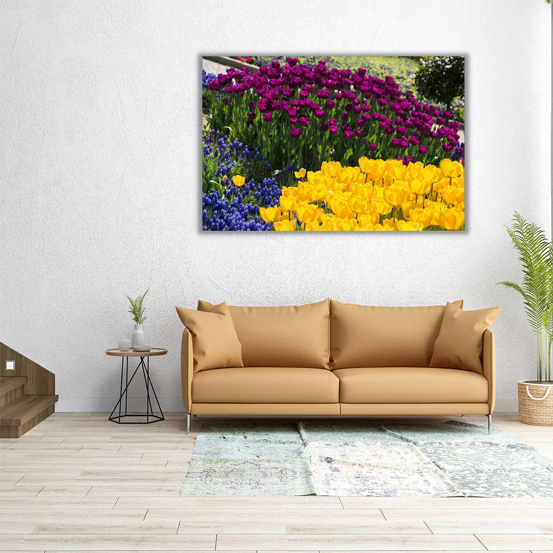 Colorful Blooming Flowers in Spring Season - Canvas Print Wall Art