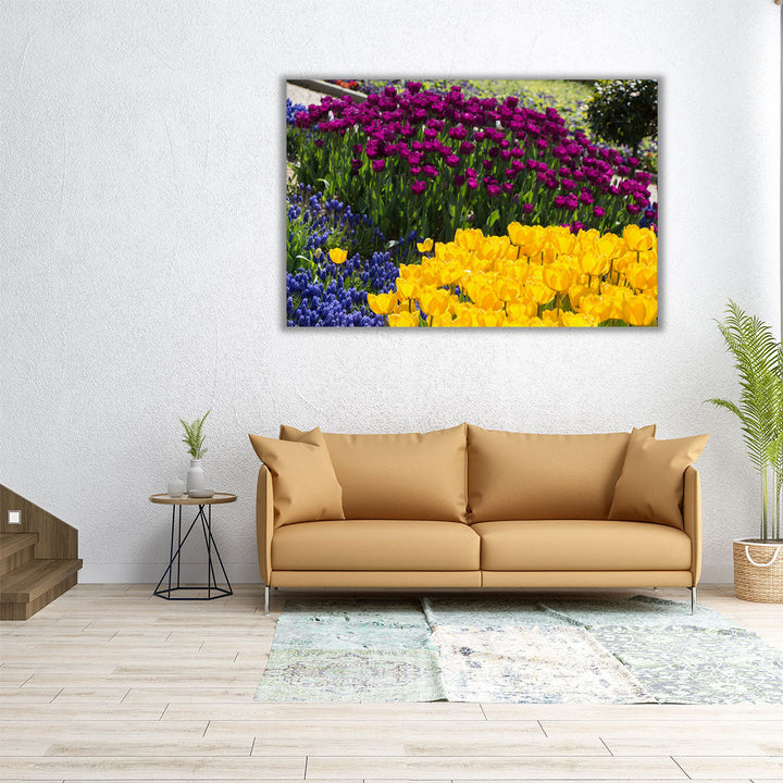 Colorful Blooming Flowers in Spring Season - Canvas Print Wall Art