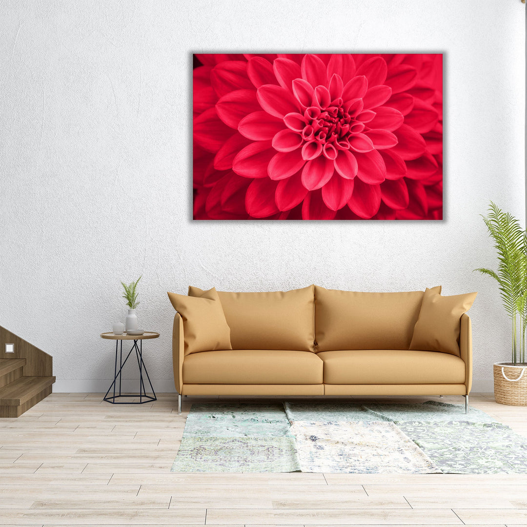 Defocused Pink Dahlia Petals Macro, Floral Abstract - Canvas Print Wall Art