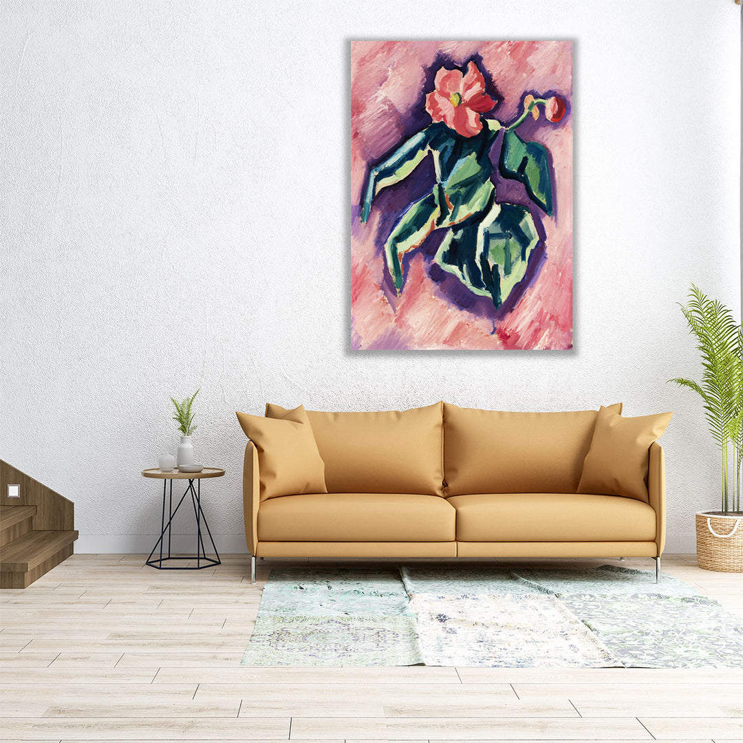 Pink Begonias, 1928-1929 - Canvas Print Wall Art