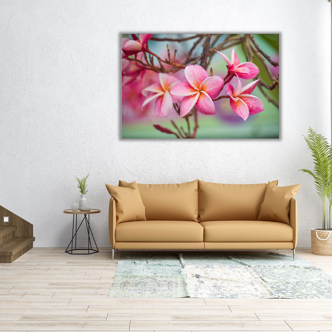 Pink Frangipani Plumeria Flower - Canvas Print Wall Art