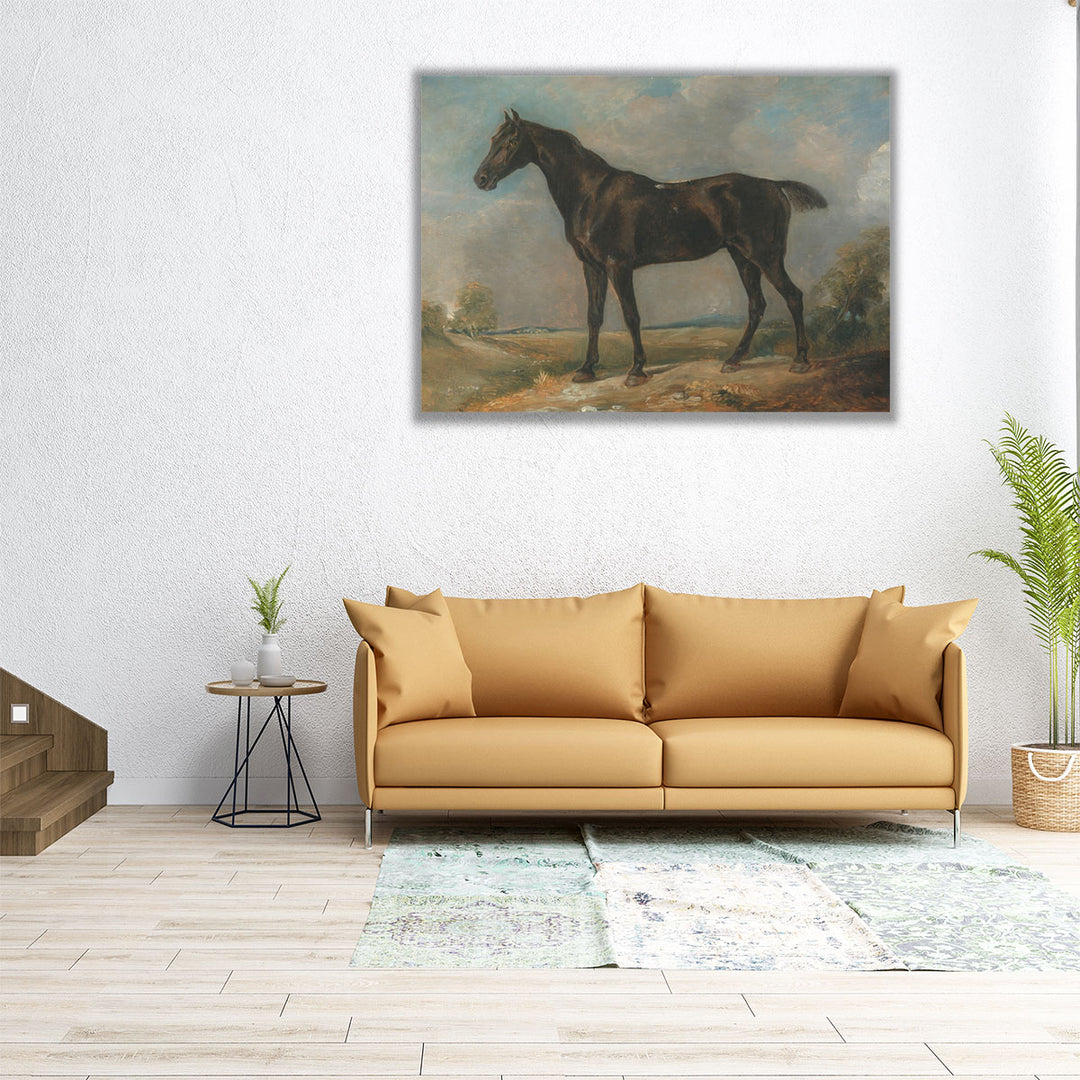 Golding Constable’s Black Riding Horse - Canvas Print Wall Art