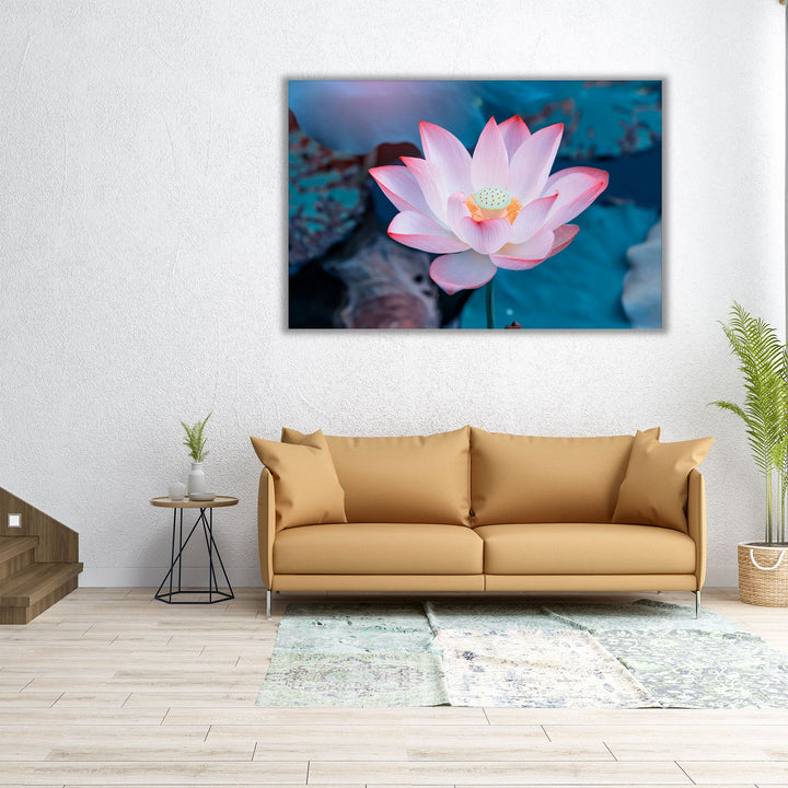 Pink Lotus Flower In Water - Canvas Print Wall Art