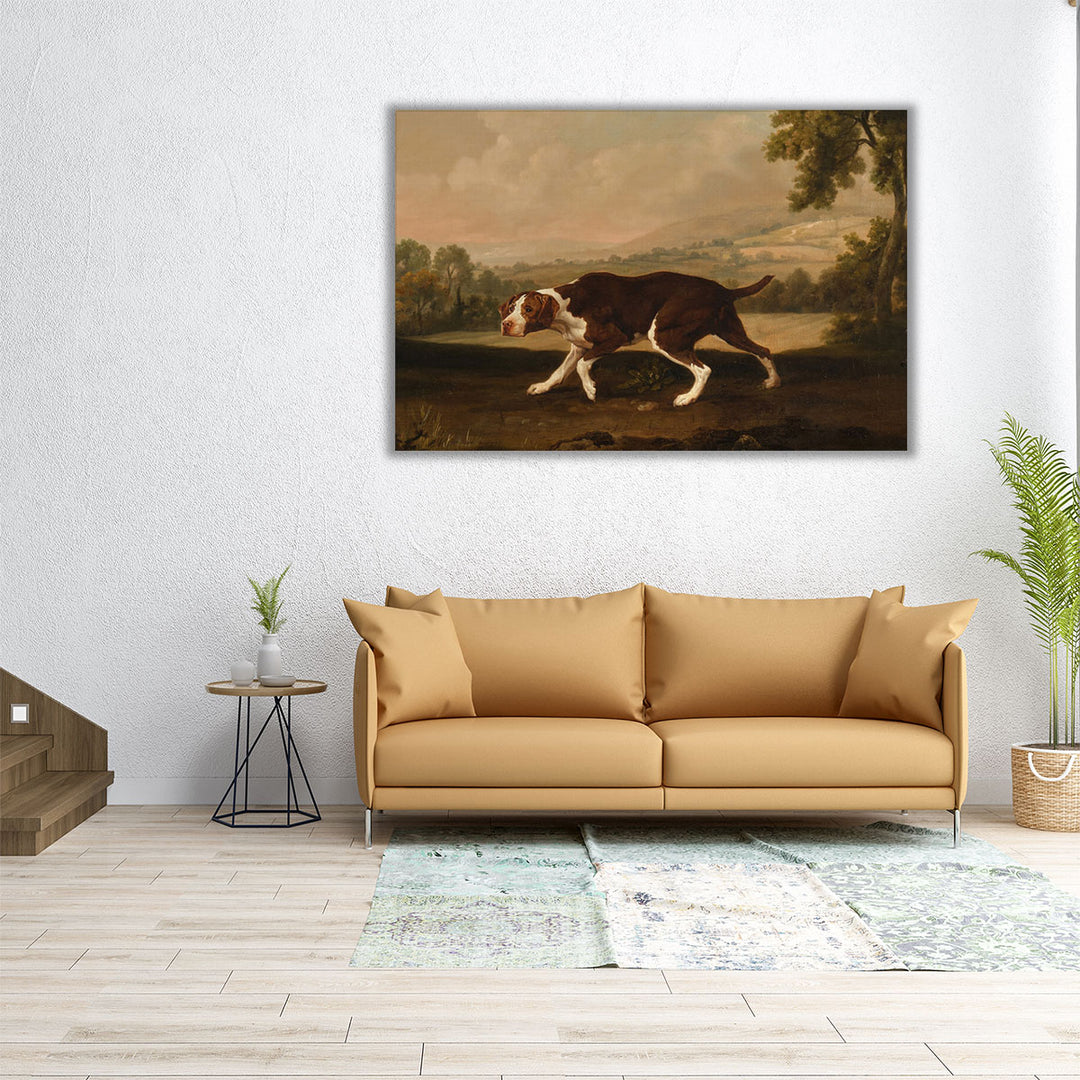 Spanish Pointer Dog - Canvas Print Wall Art