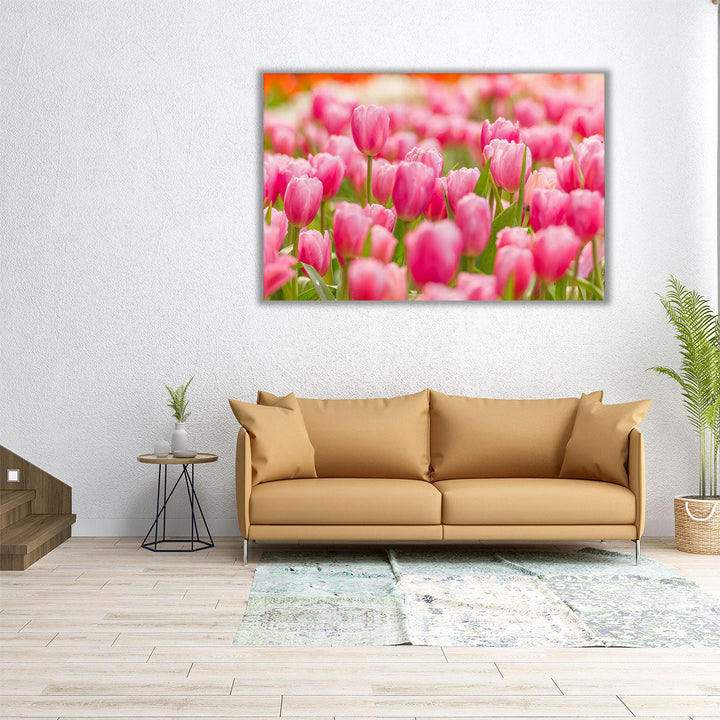 Pink Tulip Flower Field - Canvas Print Wall Art