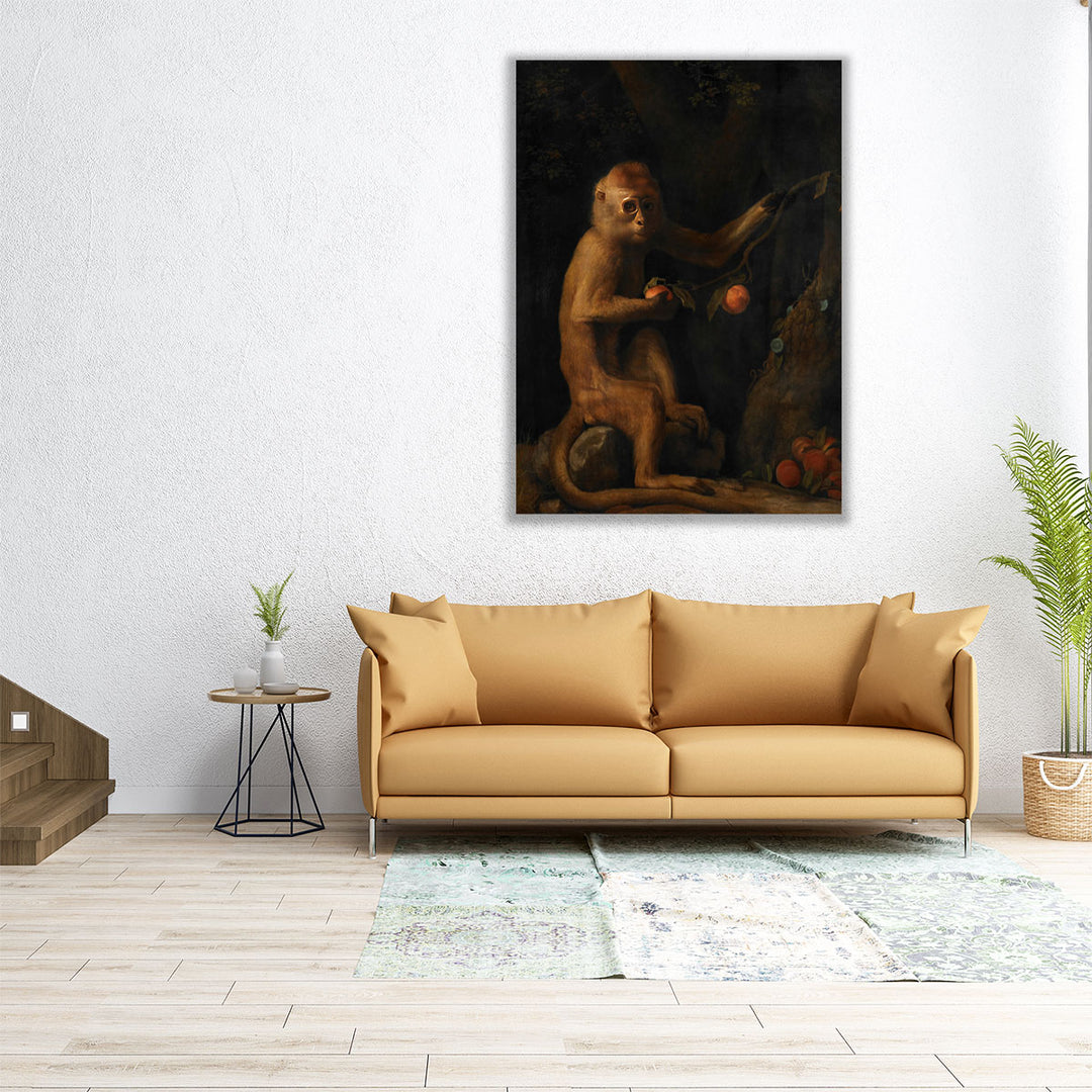 A Monkey, 1799 - Canvas Print Wall Art