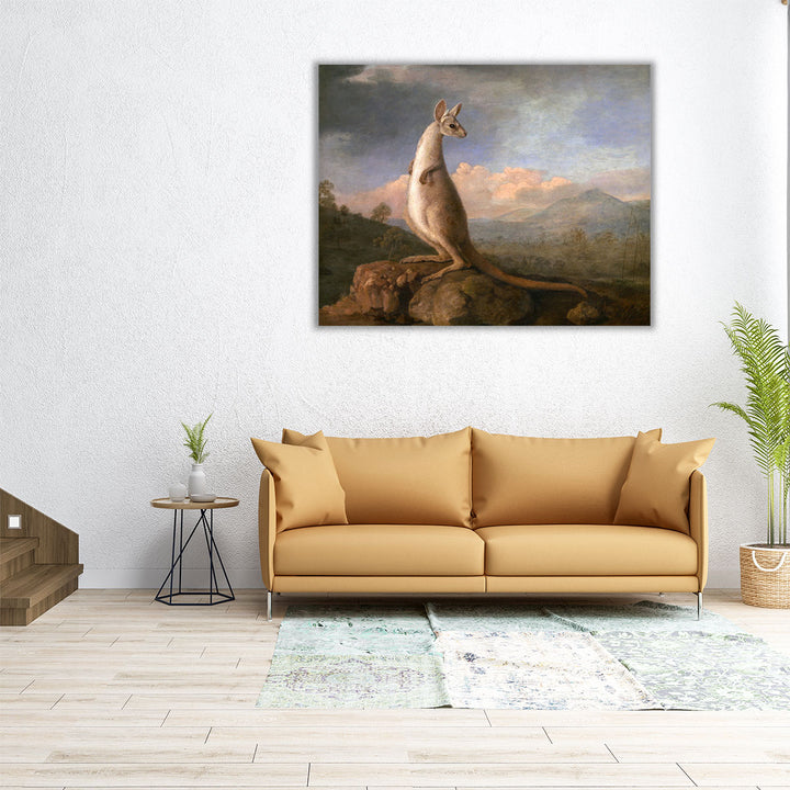 The Kongouro from New Holland - Canvas Print Wall Art