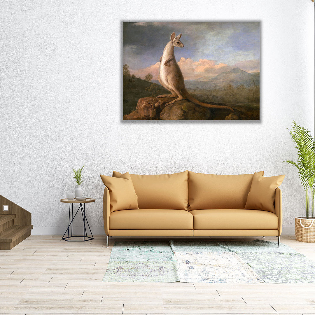 The Kongouro from New Holland - Canvas Print Wall Art