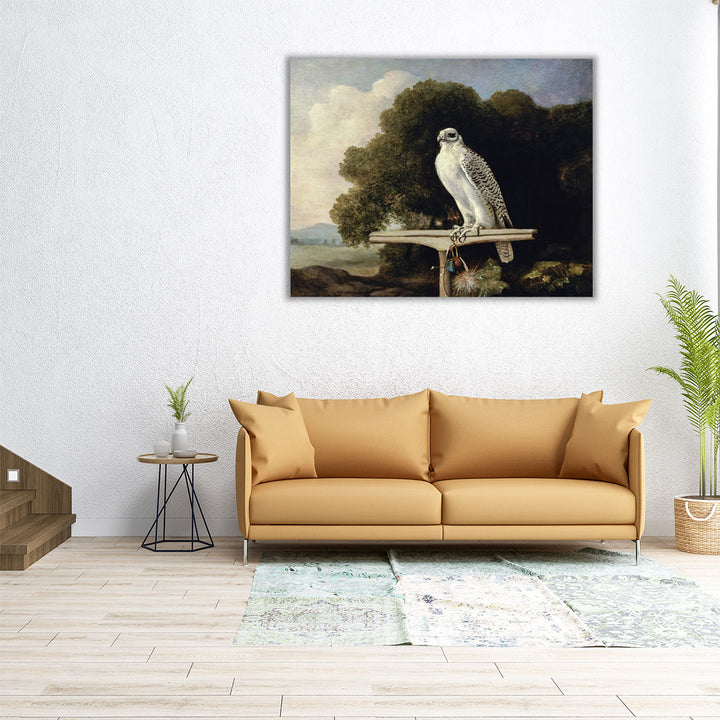 Greenland Falcon, 1780 - Canvas Print Wall Art