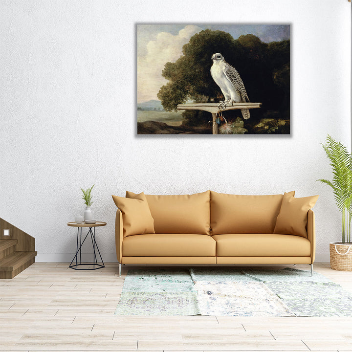 Greenland Falcon, 1780 - Canvas Print Wall Art