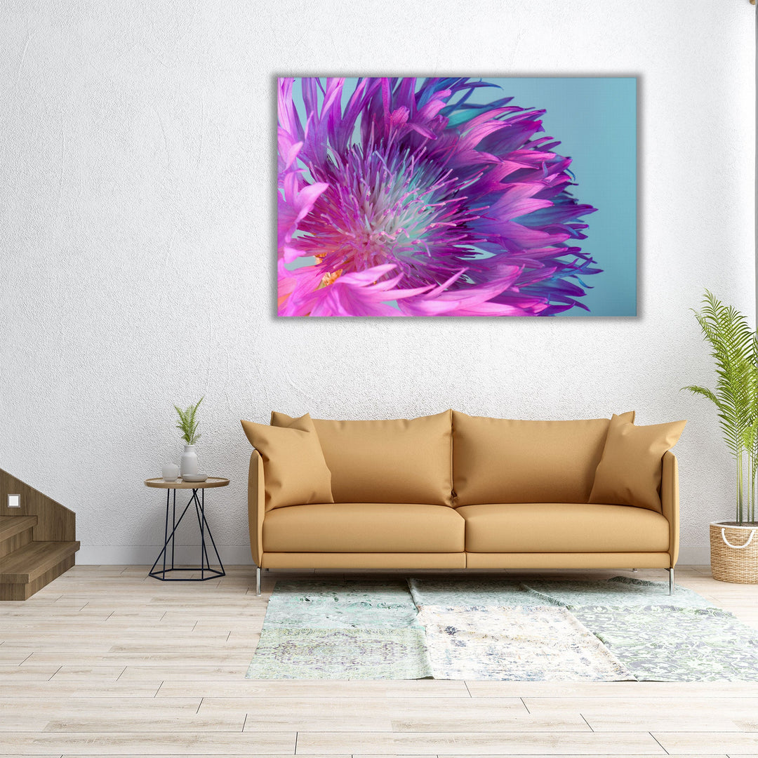 Purple and Turquoise Flower With Sharp Petals Close-Up - Canvas Print Wall Art