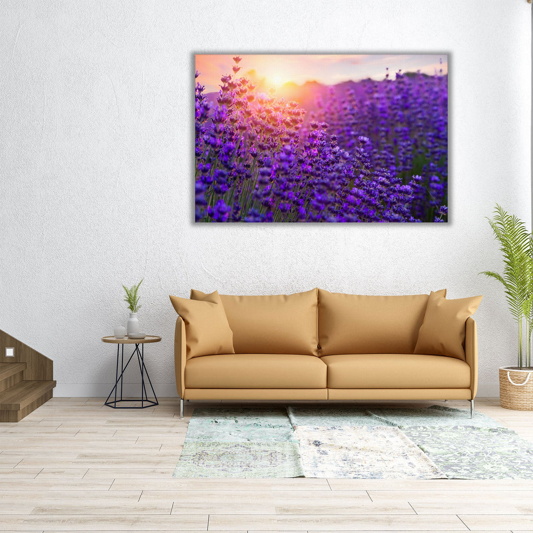 Sunset Over Lavender Field - Canvas Print Wall Art