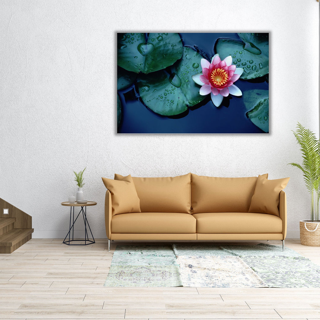 Waterlily or Lotus Flower at Bloom - Canvas Print Wall Art