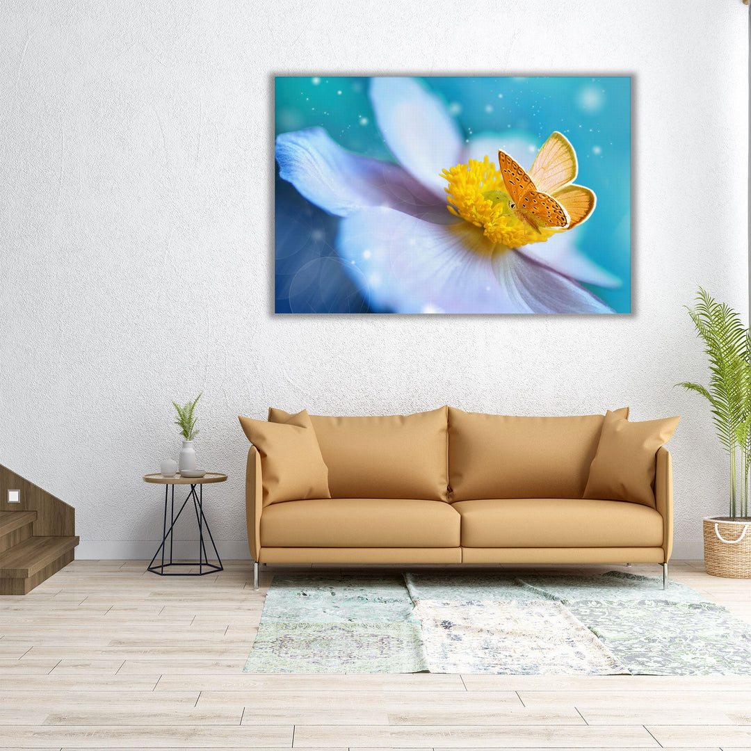 White Anemone Flower With Yellow Stamens and Butterfly - Canvas Print Wall Art