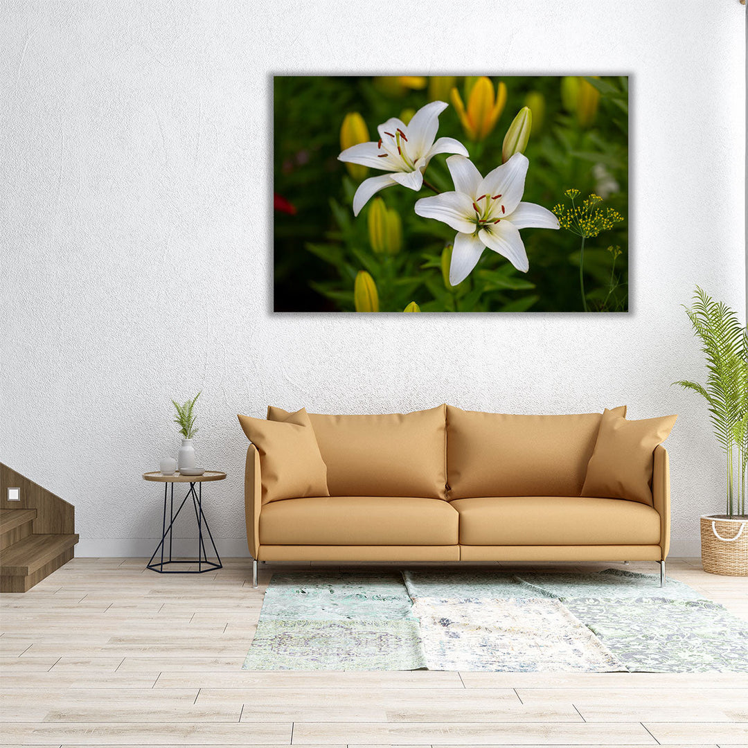 White Lilies Macro Shot - Canvas Print Wall Art