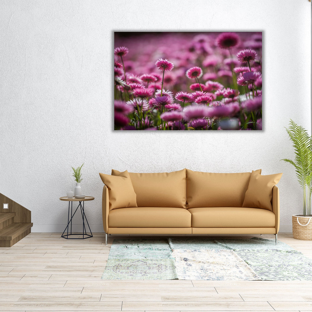 Wildflowers Field - Canvas Print Wall Art