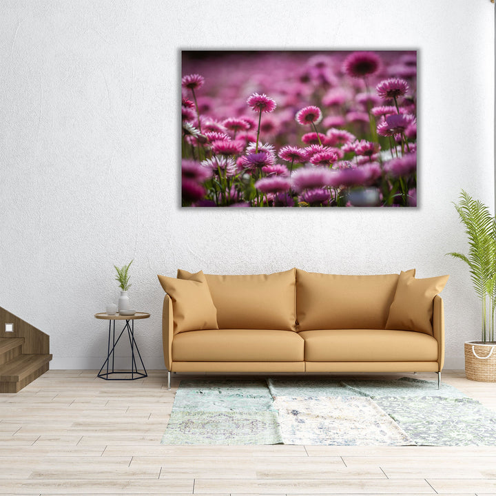 Wildflowers Field - Canvas Print Wall Art