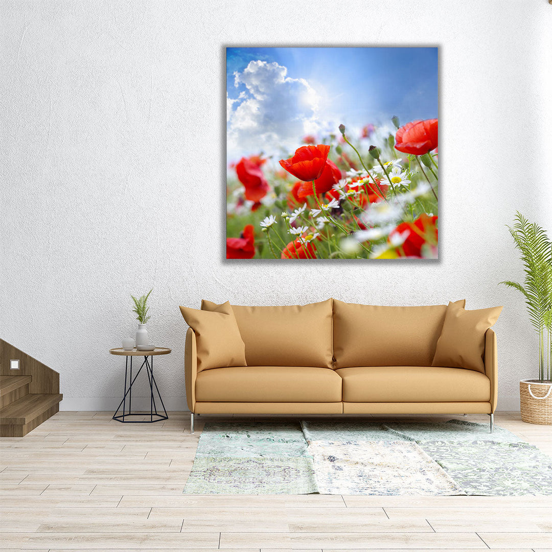 Poppy Flowers and The Sky - Canvas Print Wall Art