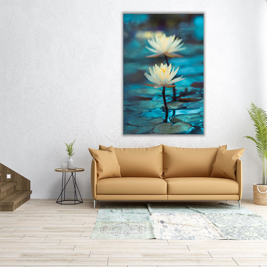 Bright White Water Lily or Lotus Close Up on Blue Background - Canvas Print Wall Art