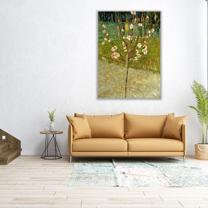 Almond Tree in Blossom - Canvas Print Wall Art