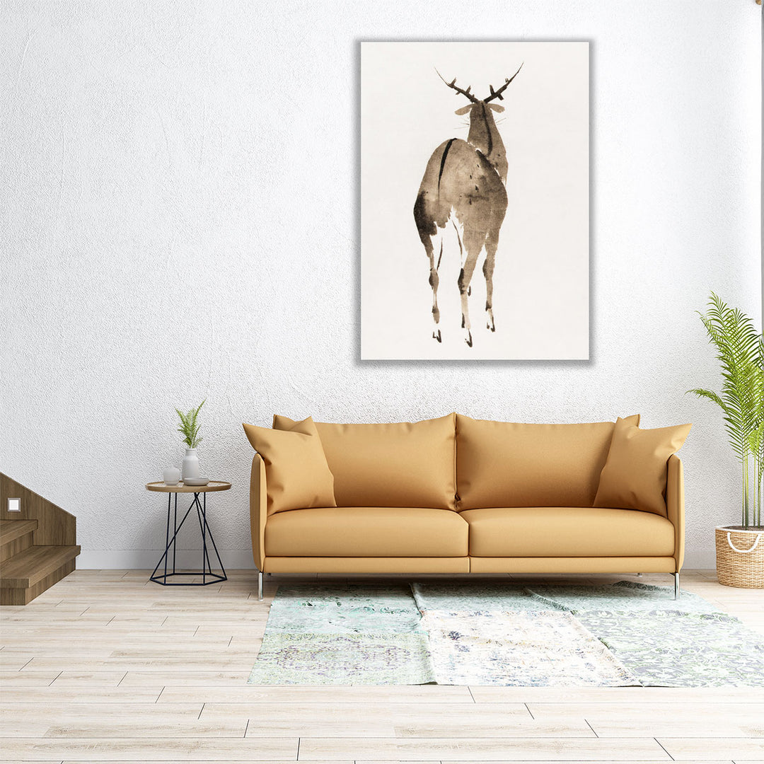 Deer, 1904 - Canvas Print Wall Art