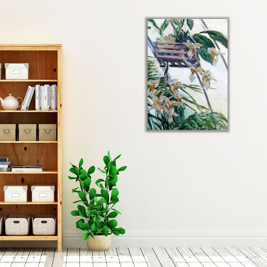 Orchids Gustave Caillebotte - Canvas Print Wall Art