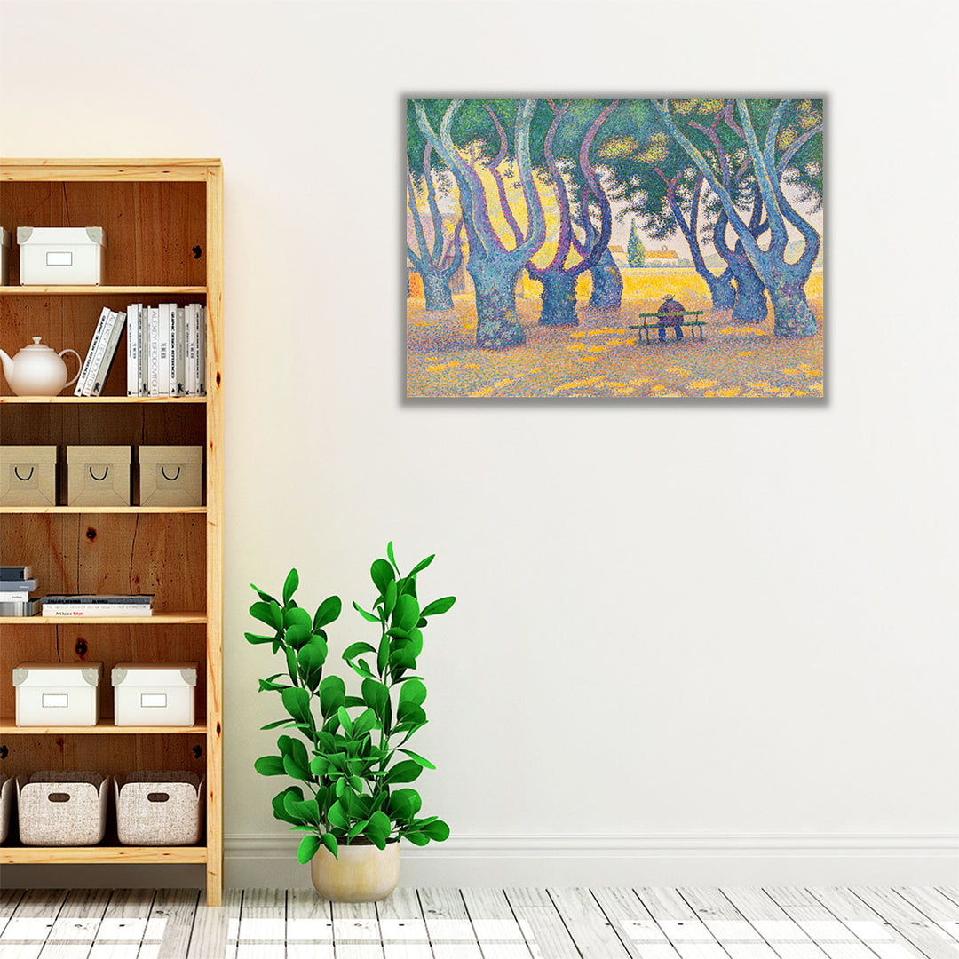 Place des Lices - Canvas Print Wall Art