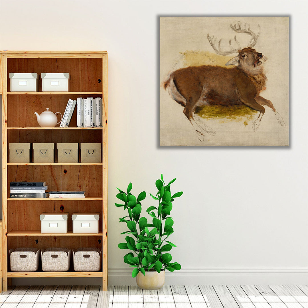 Dying Stag, 1830 - Canvas Print Wall Art