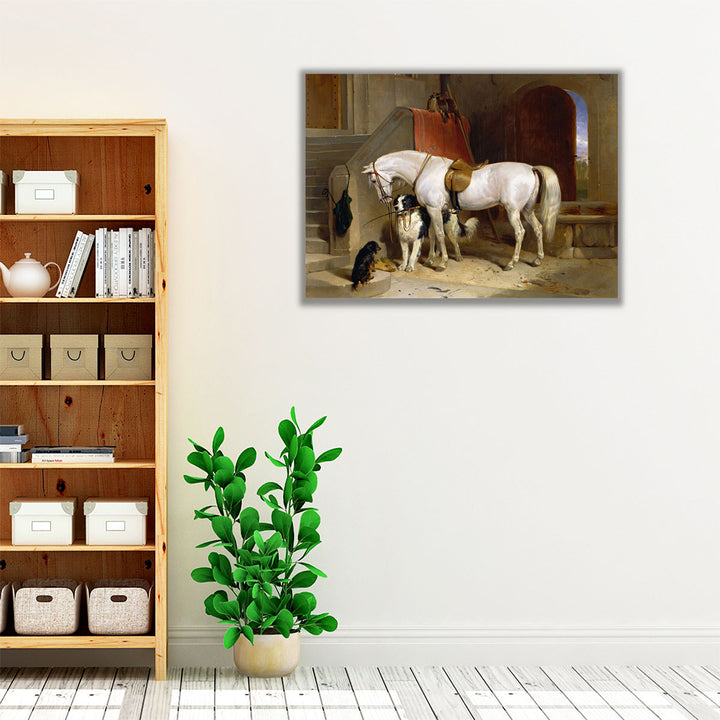 Favourites, the Property of H.R.H. Prince George of Cambridge - Canvas Print Wall Art