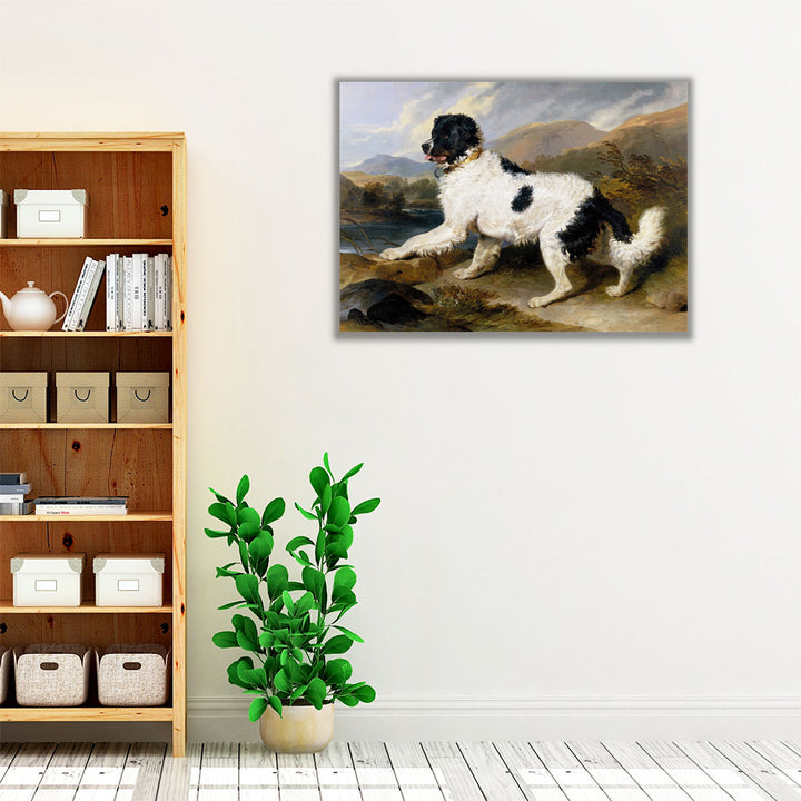 A Newfoundland Dog, 1824 - Canvas Print Wall Art