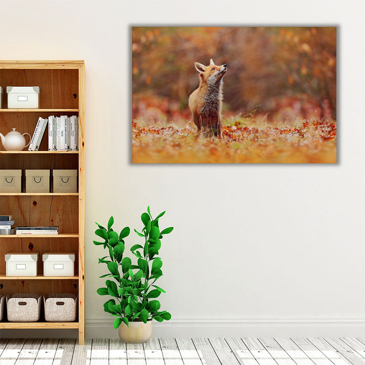 Cute Red Fox in Fall Forest - Canvas Print Wall Art