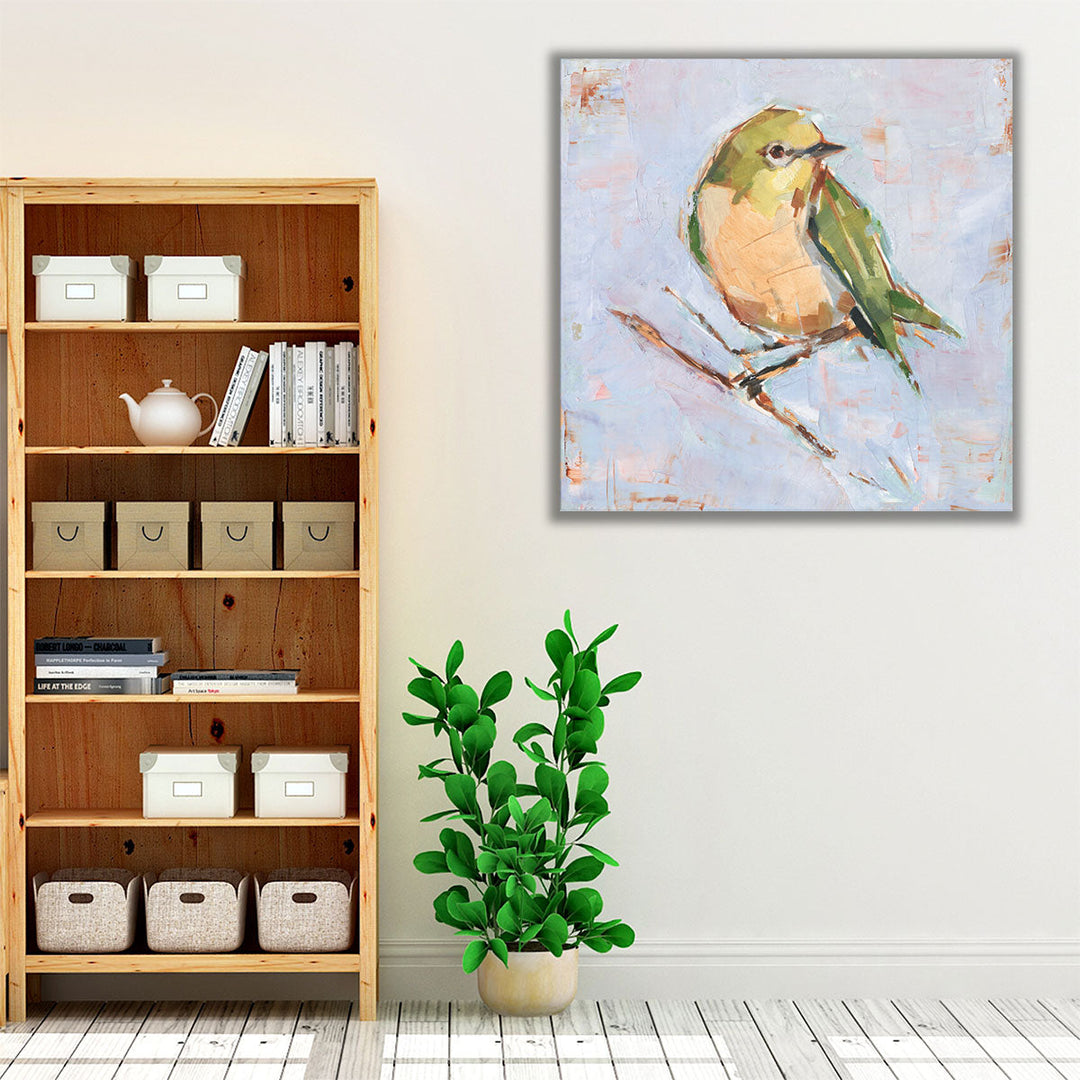 Bird Variety II - Canvas Print Wall Art