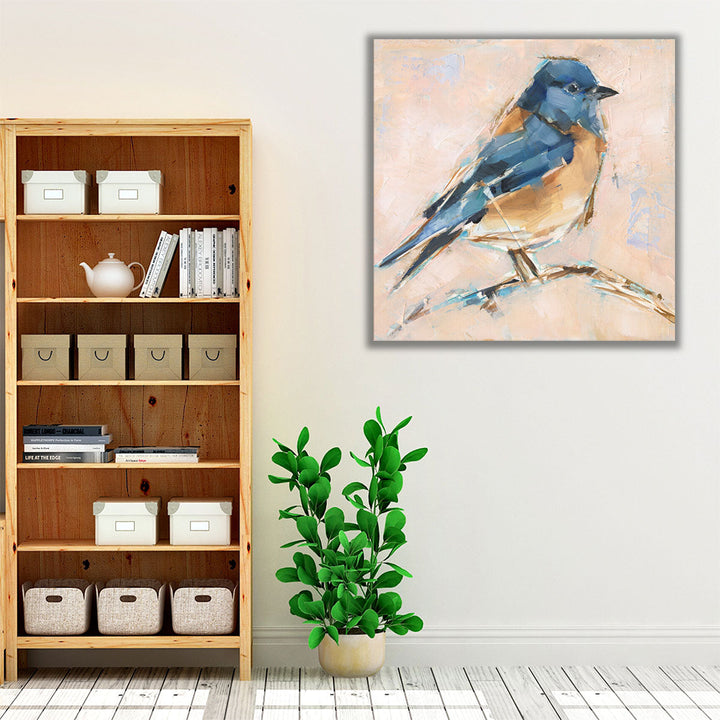 Bird Variety III - Canvas Print Wall Art