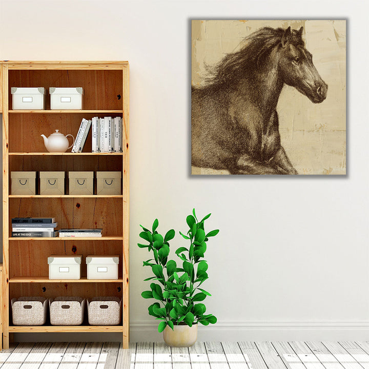 Majestic Horse I - Canvas Print Wall Art