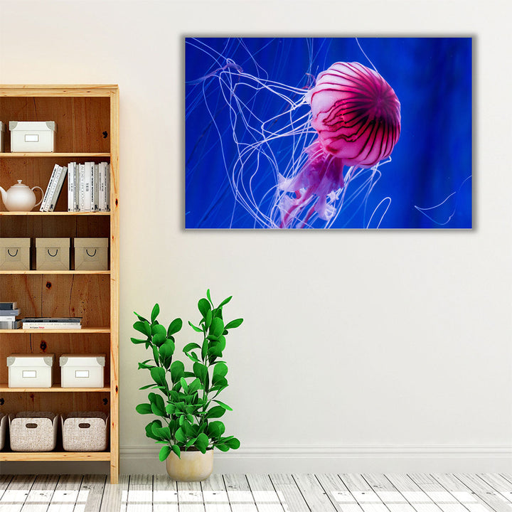 Beautiful Jellyfish Close-up - Canvas Print Wall Art