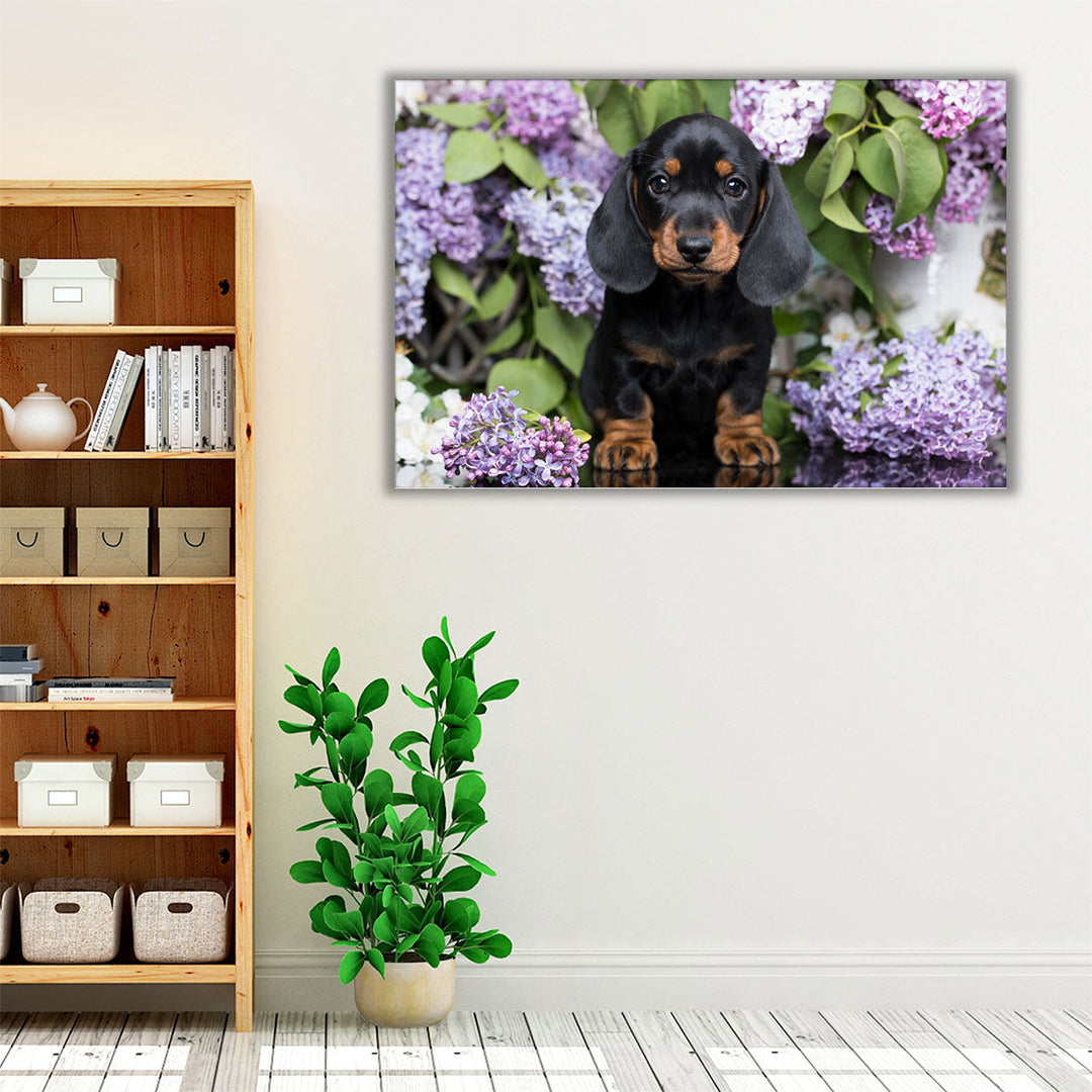 Dachshund with Flowers - Canvas Print Wall Art