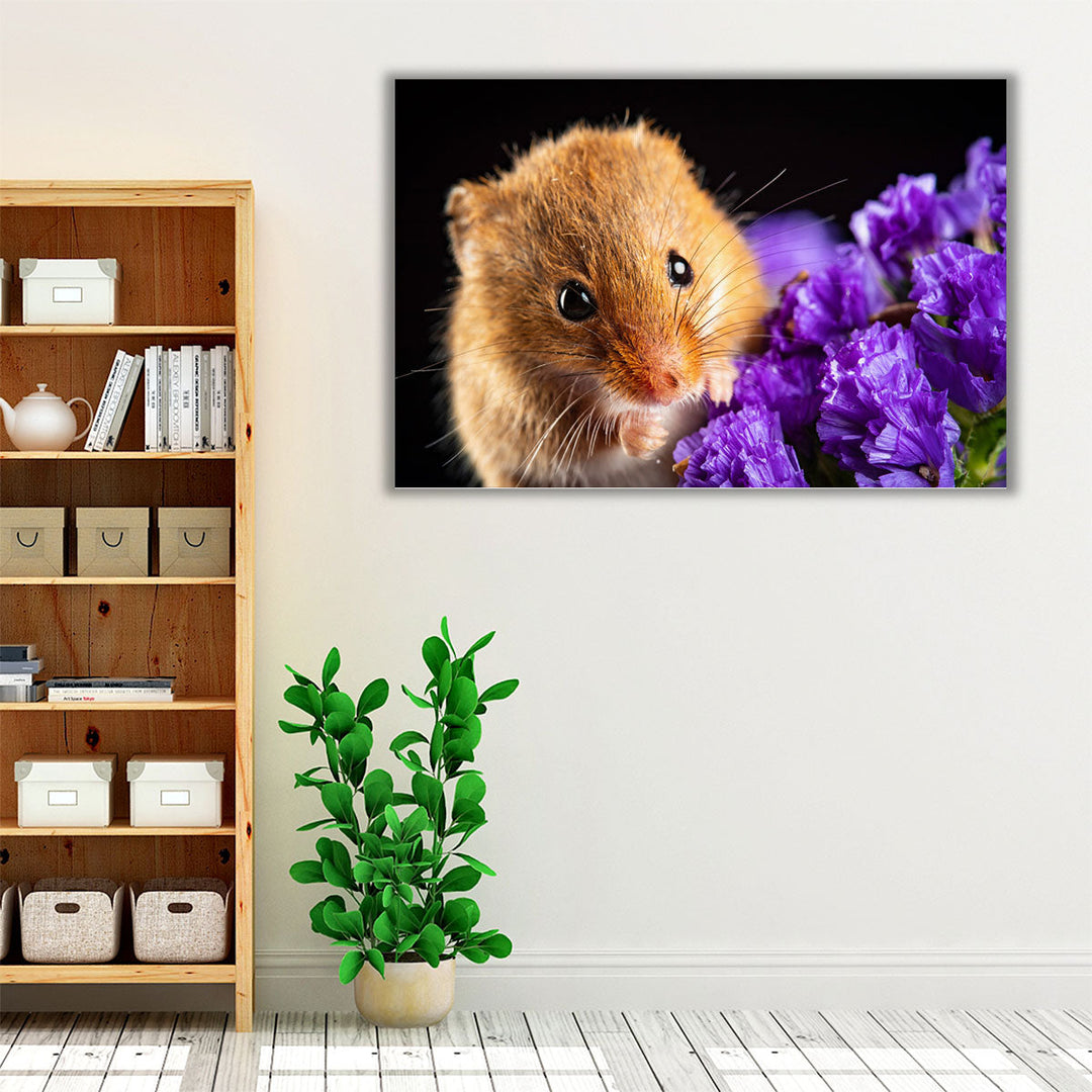 Harvest Mice On Flowers - Canvas Print Wall Art