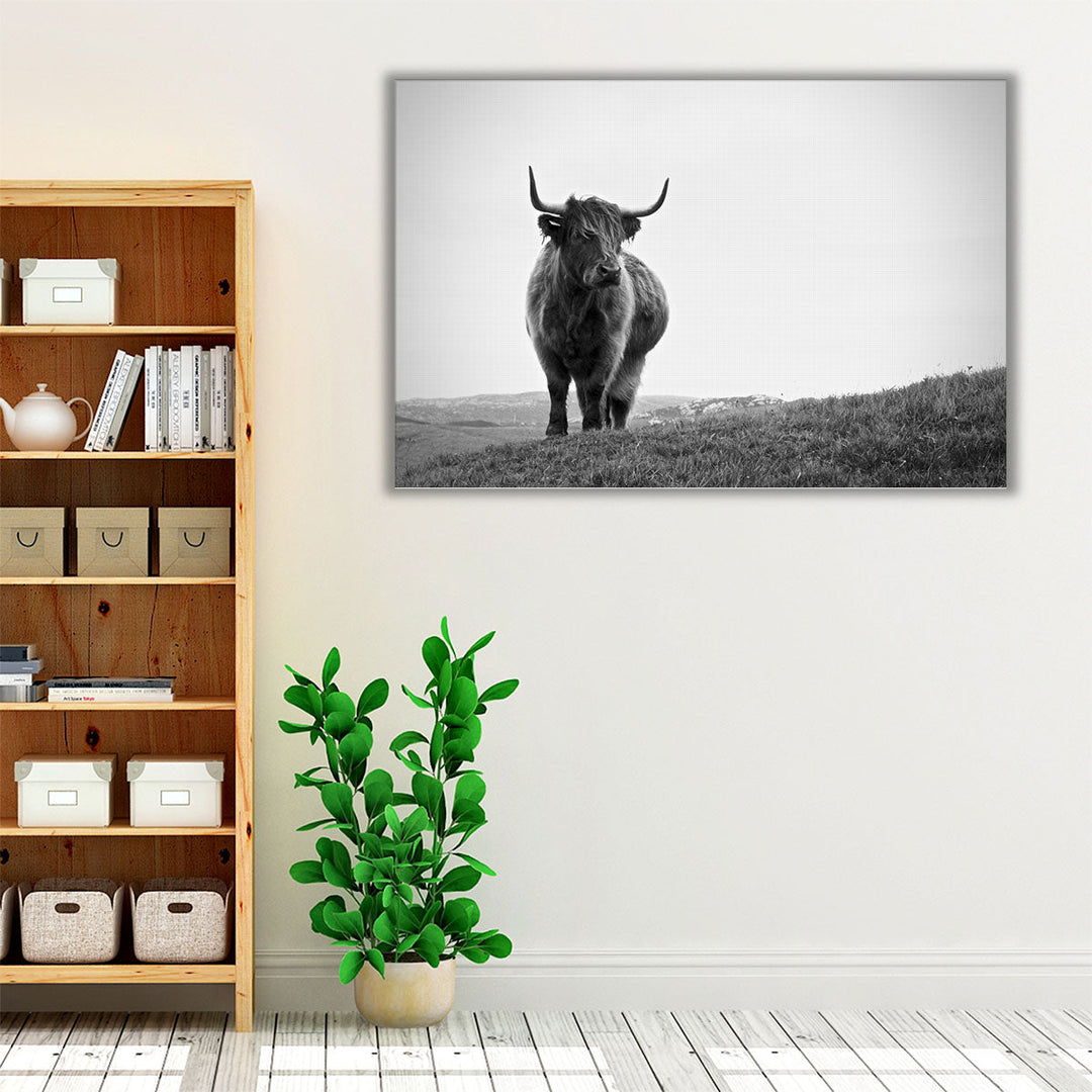 Highland Cow - Black and White - Canvas Print Wall Art