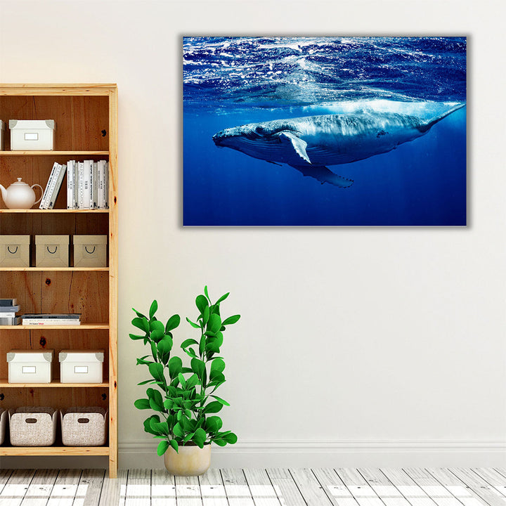 Humpback Whale - Canvas Print Wall Art