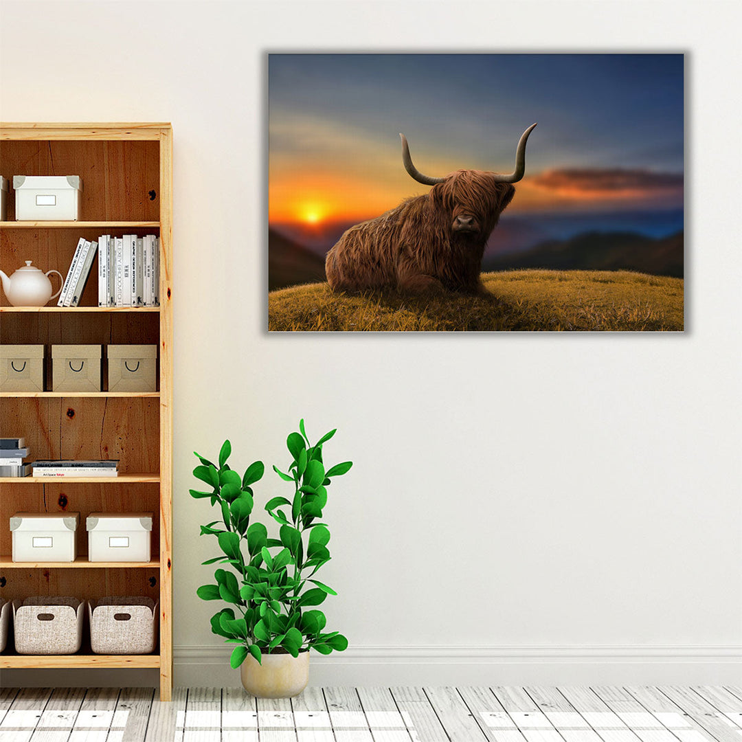 Large Highland Cow in a Meadow - Canvas Print Wall Art