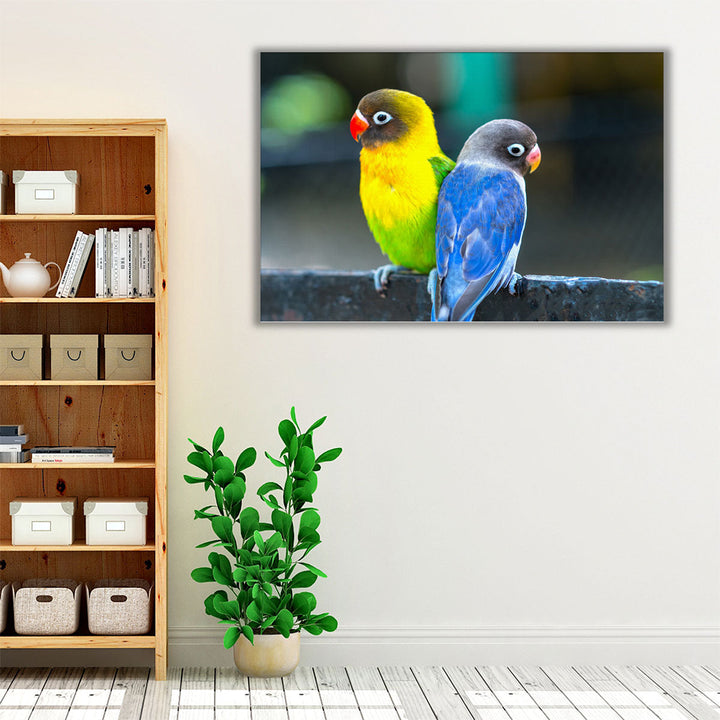 Lovebird Parrots Sitting Together - Canvas Print Wall Art