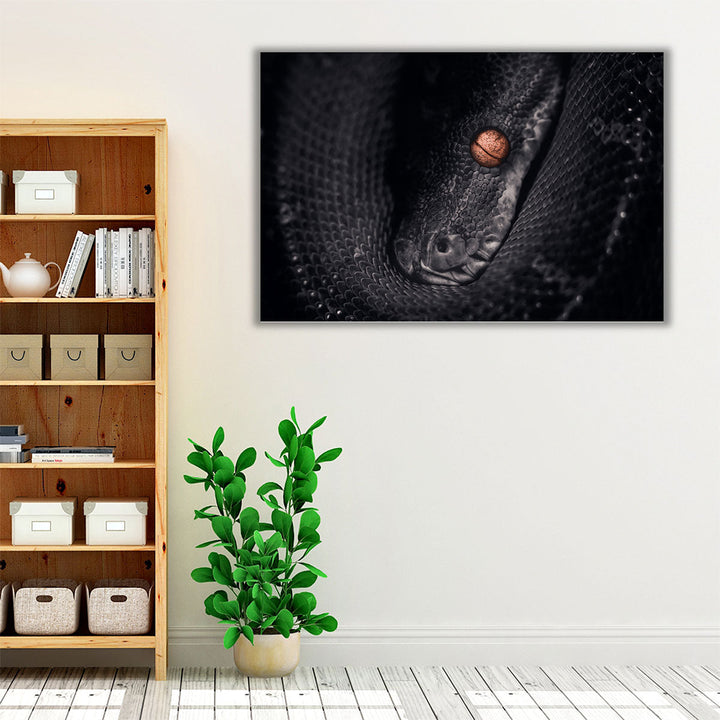 Python Snake Photography - Canvas Print Wall Art