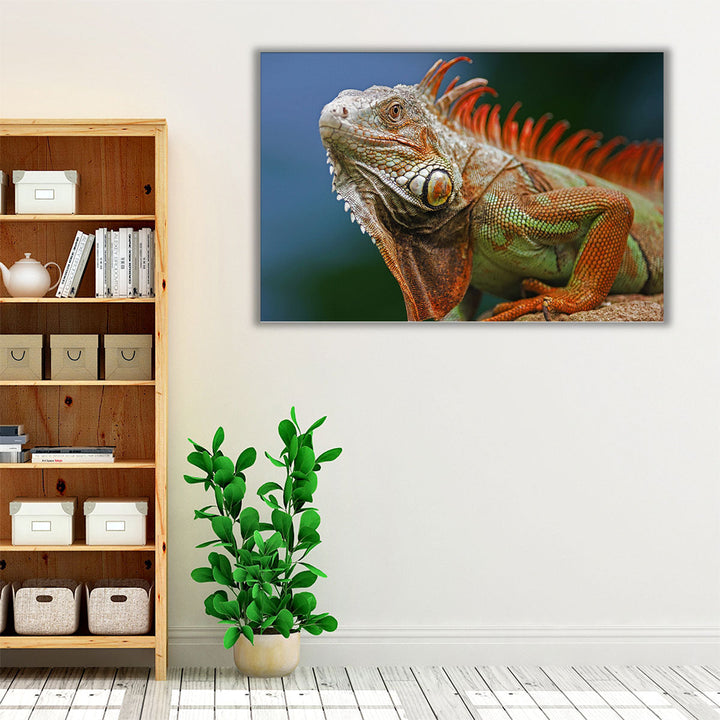 Red Crested Iguana - Canvas Print Wall Art