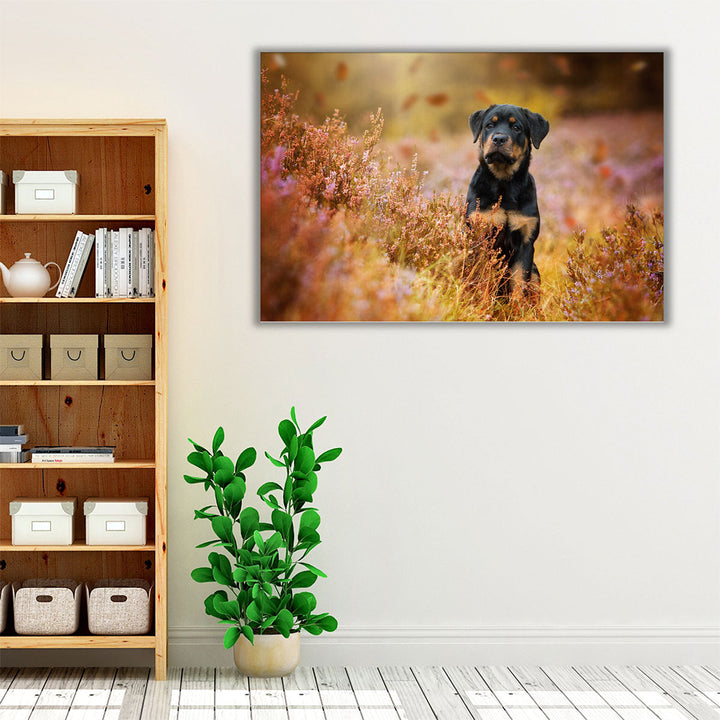 Rottweiler Puppy in Nature - Canvas Print Wall Art