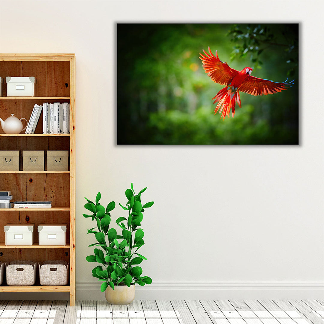 Scarlet Macaw Parrot - Canvas Print Wall Art