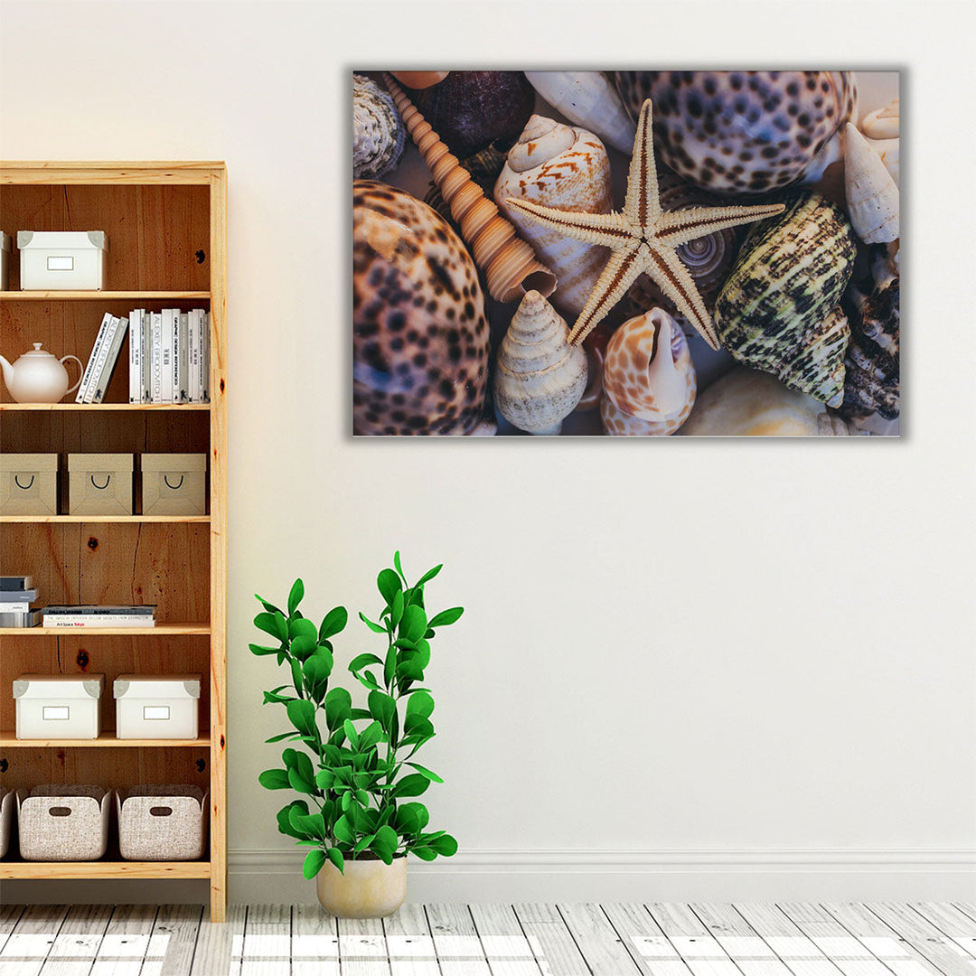 Seashells and Starfish - Canvas Print Wall Art